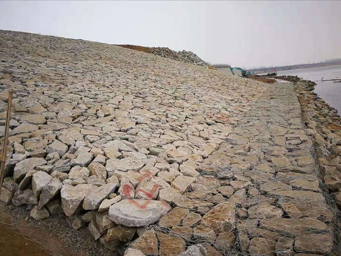 河堤雷諾護墊