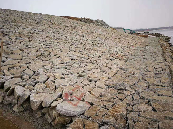 雷諾護墊
